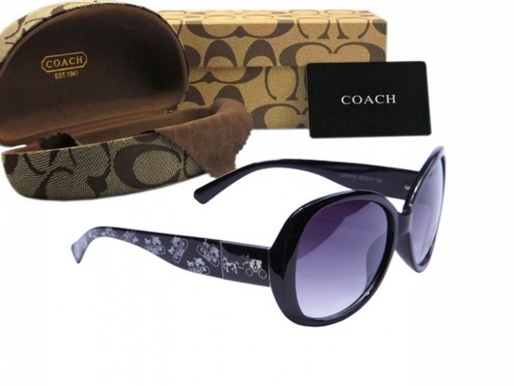 Coach Sunglasses 8014 | Women